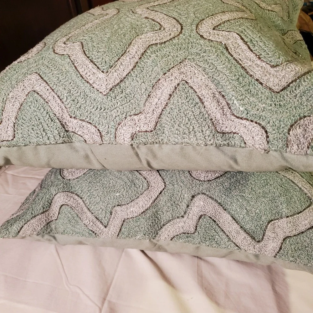 Pottery Barn Sage Green Beaded Embroidered 2 Throw Pillows Down Fill 20x20